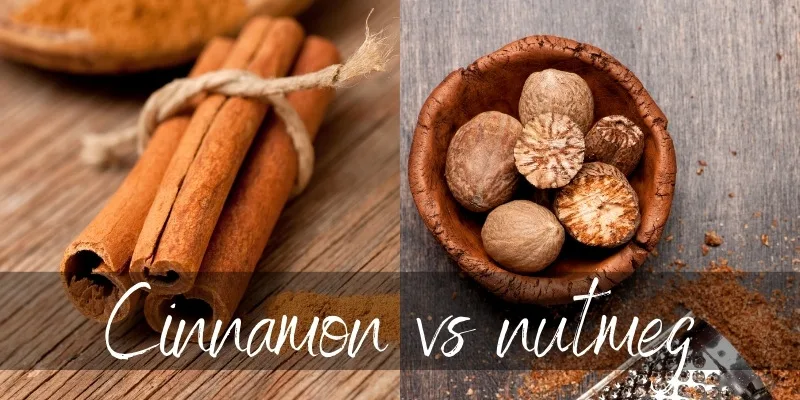 Comparison of cinnamon sticks and nutmeg seeds side by side