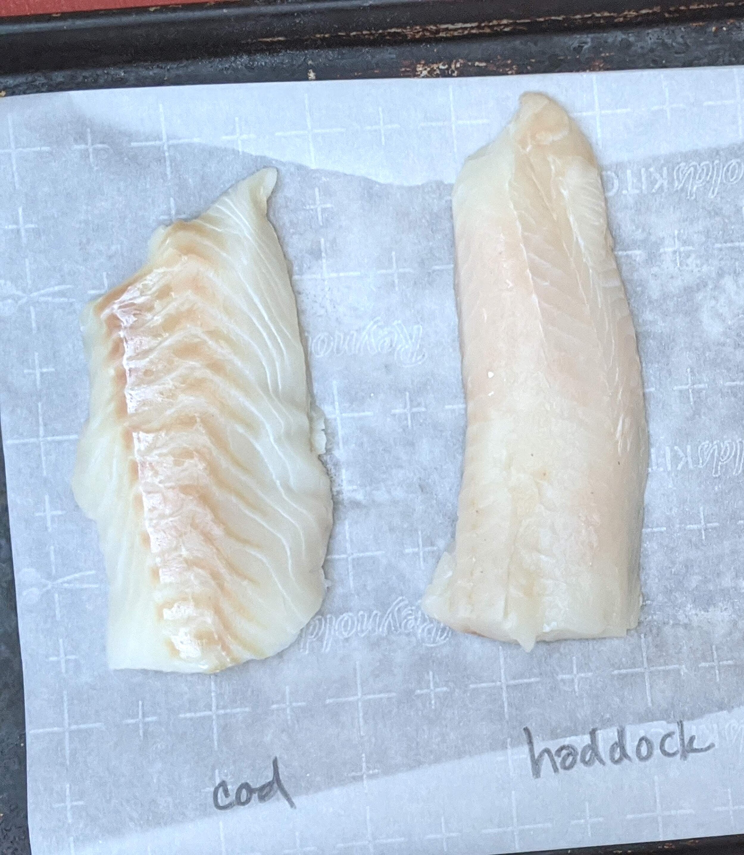 Side-by-side comparison of cod and haddock fillets