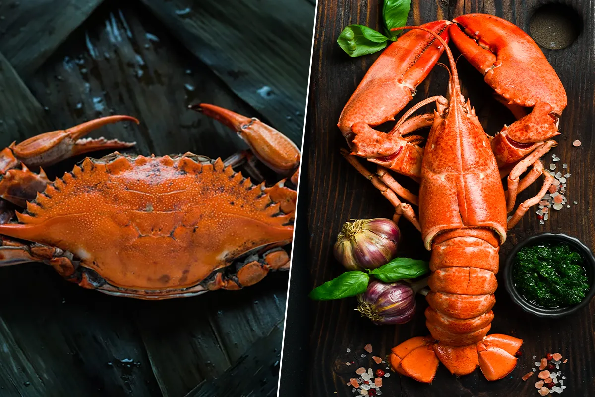 Side-by-side comparison of a lobster and a crab on a plate